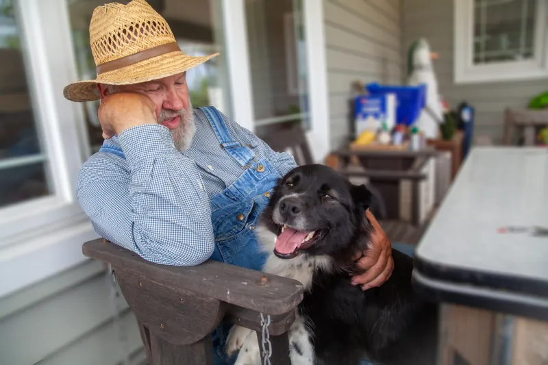 Farm Dogs photo 7